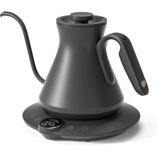 Electric Temperature Control Kettle