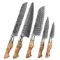 Damascus Knife Set