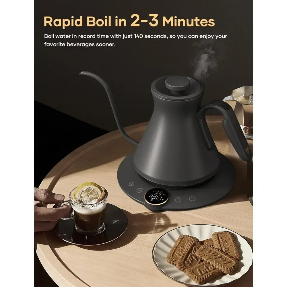 Electric Temperature Control Kettle