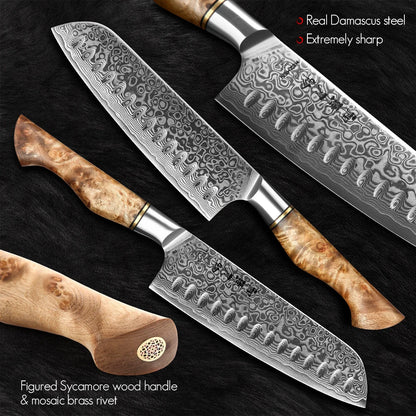 Damascus Knife Set