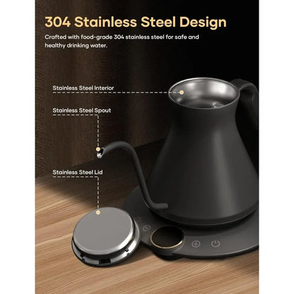 Electric Temperature Control Kettle