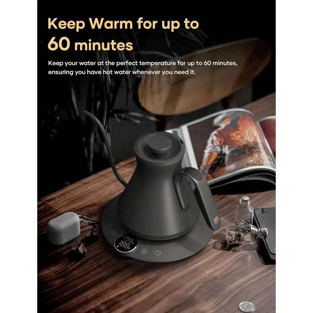 Electric Temperature Control Kettle