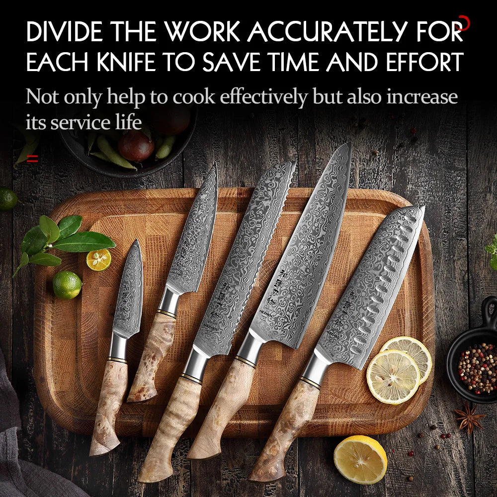 Damascus Knife Set